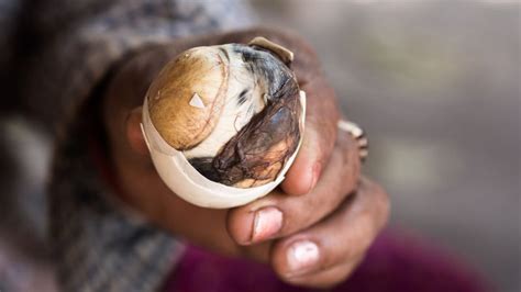 Eating Balut (Boiled Duck Foetus), Philippines (VIDEO).